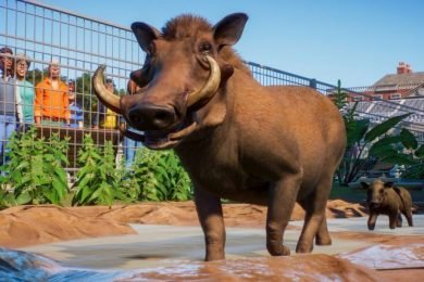 Planet Zoo Franchise Mode Guide