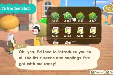 Animal Crossing New Horizons Update