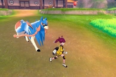 Pokémon Sword and Shield Isle of Armor EXP Charm Guide