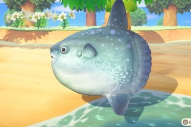 This guide will show you how to catch the Ocean Sunfish in Animal Crossing New Horizons. The Ocean Sunfish is one of the few fishes