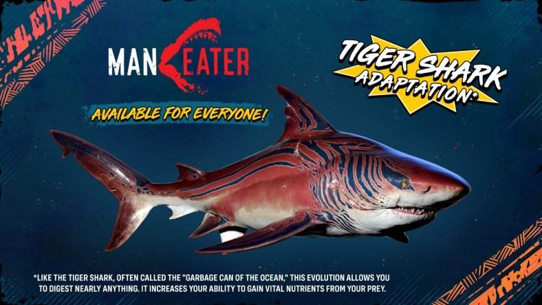 Maneater Tiger Shark Adaptation
