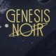 Genesis Noir Release Date