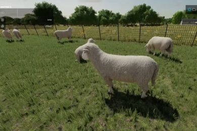 Farming Simulator 22 Sheep Breeding Guide