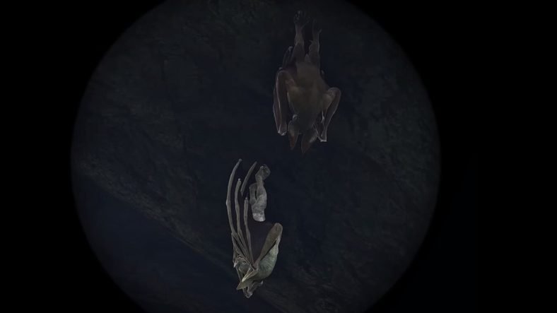 Ark Fjordur Desmodus Taming Guide