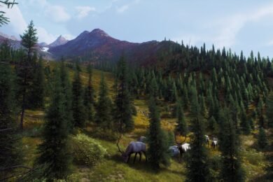 Way of the Hunter Aurora Shores