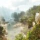 ARK Survival: Ascended Console Commands Guide