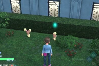 Pokemon Legends: Z-A Bunneary Guide