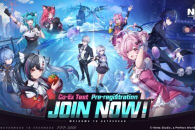 Neverness to Everness Test