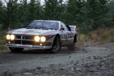 Assetto Corsa Rally FIA eSports Global Tour