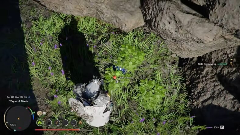 Crimson Desert Wild Ginseng Guide