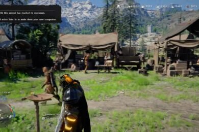 Crimson Desert Bird Taming Guide