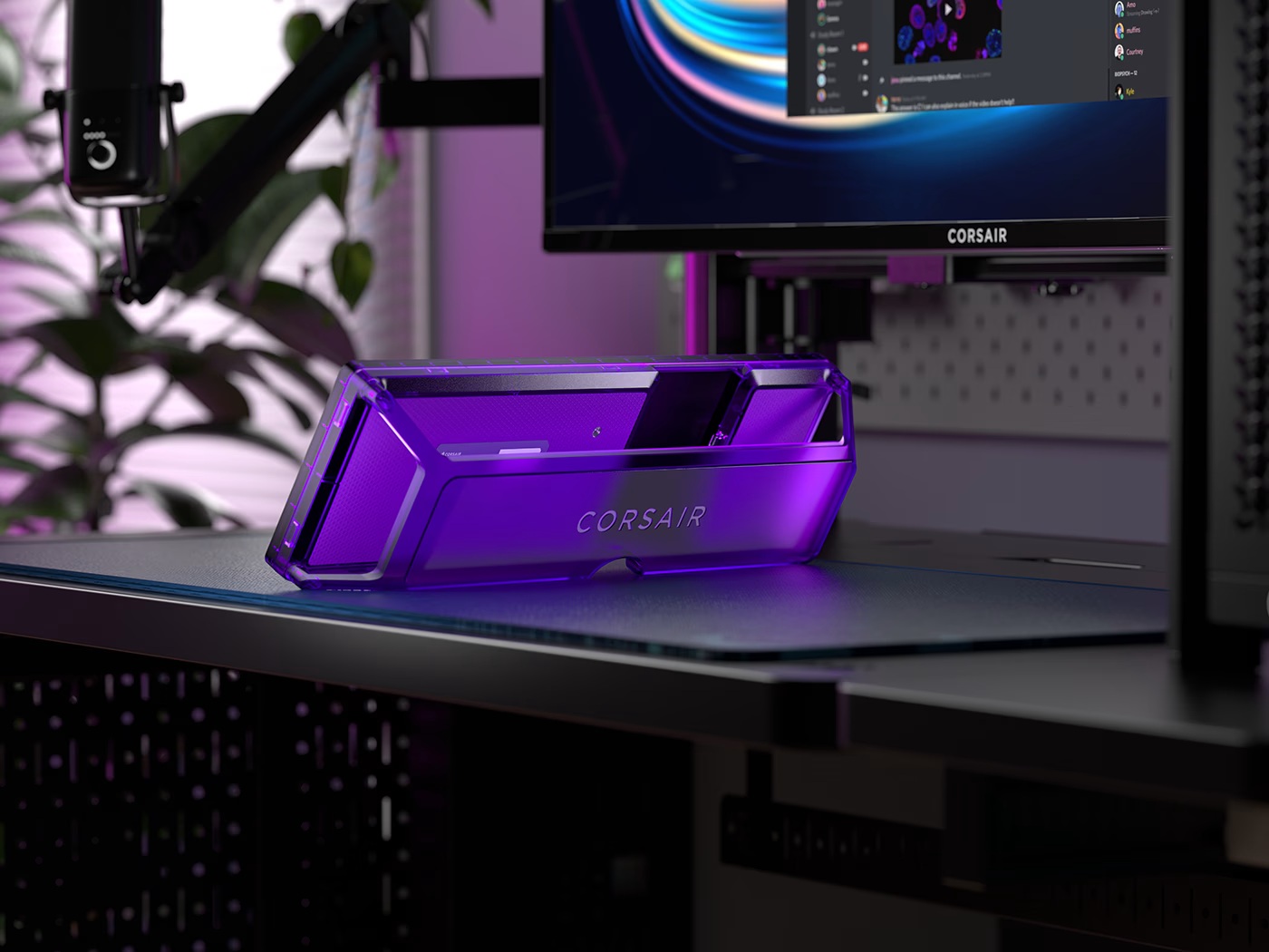 Purple Backside