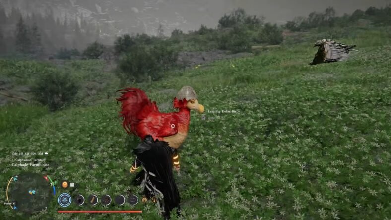 Crimson Desert Leaping Kuku Bird Mount Guide