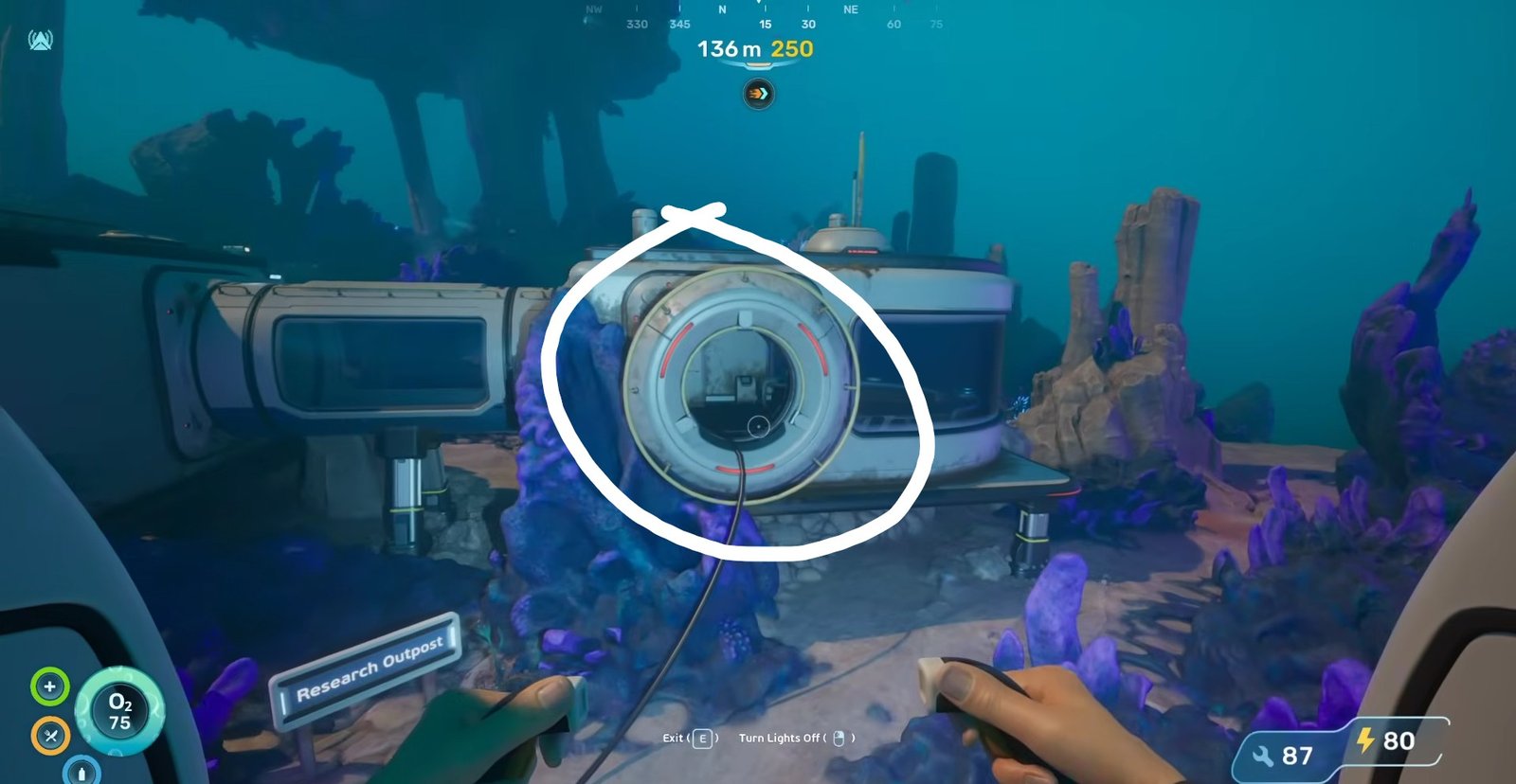 Subnautica 2 Tadpole Guide