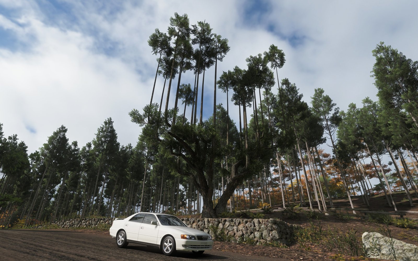 Forza Horizon 6 Photography Locations Guide