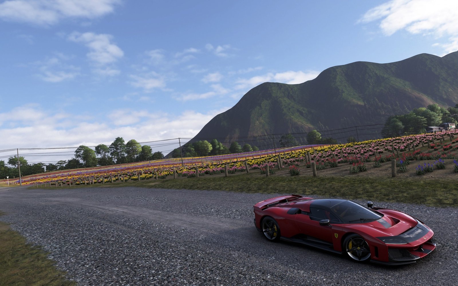 Forza Horizon 6 PetalPower Photo Challenge Guide