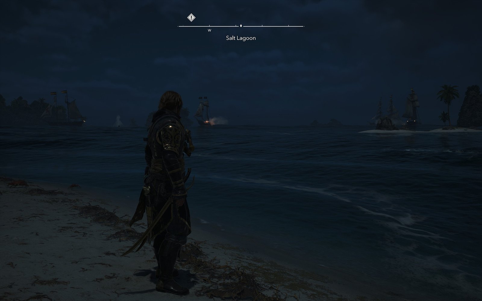 Assassin's Creed Black Flag Resynced Review