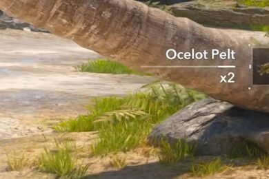 Assassin's Creed Black Flag Resynced Animal Materials Farming