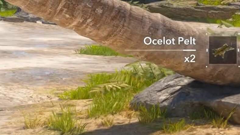 Assassin's Creed Black Flag Resynced Animal Materials Farming