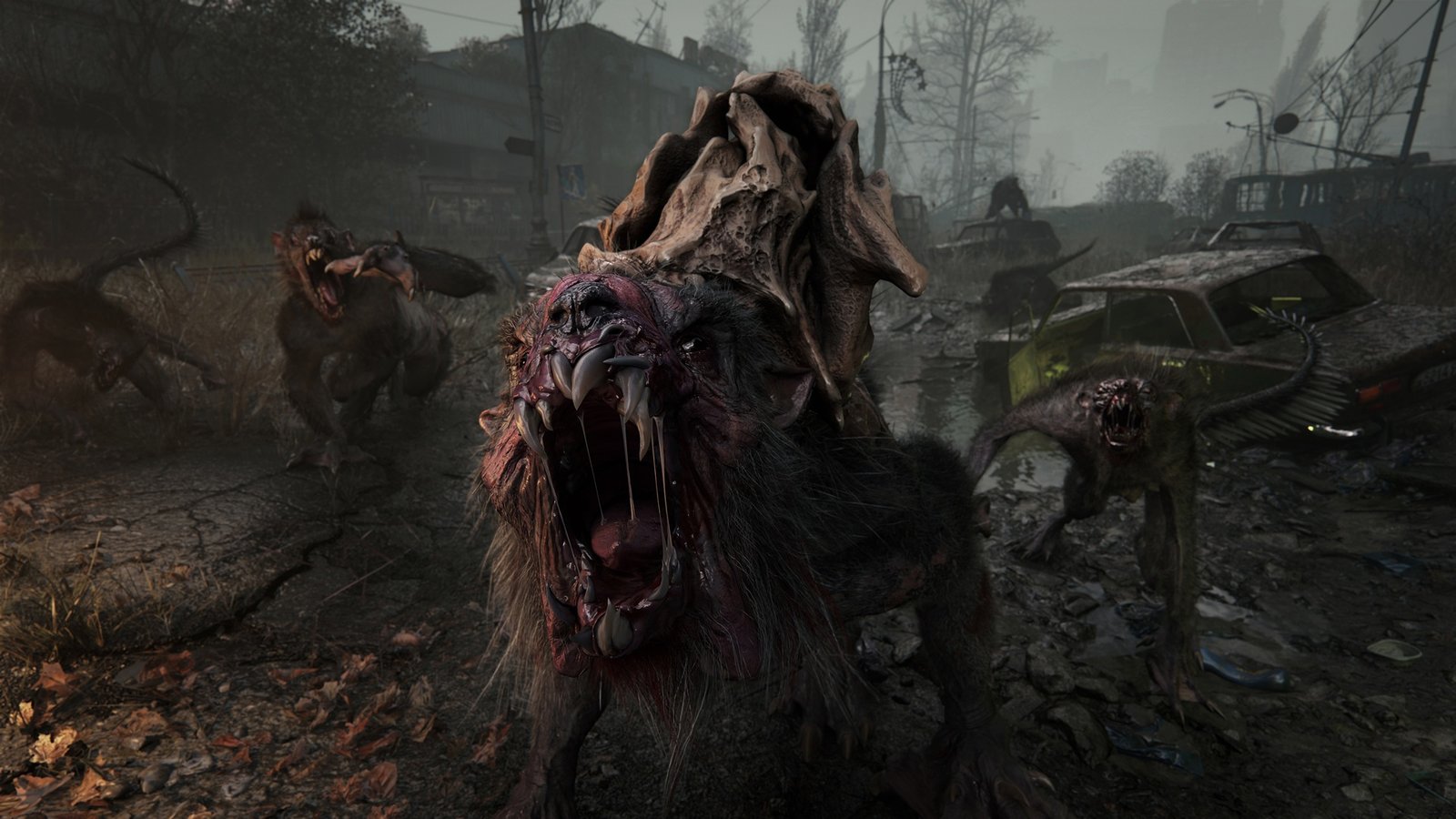 Metro 2039 Release Date