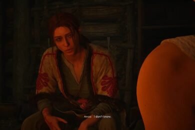 The Blood of Dawnwalker Anca Romance Guide
