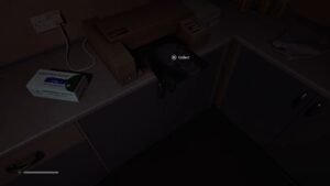 Silent Hill: Townfall How to take Patient X-Rays